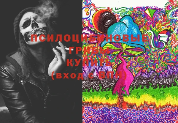 первитин Белокуриха